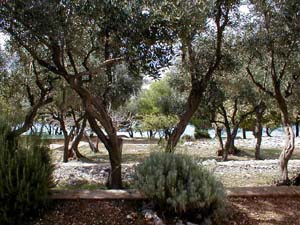 Appartement&nbsp;staragavza4