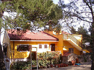 Appartement&nbsp;neva1