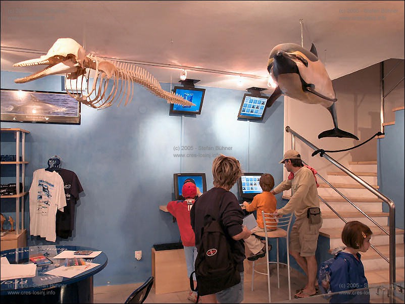 in der Ausstellung des Adriatic Dolphin Projects im Hafen von Veli Losinj in Kroatien: vor allem f�r die j�ngeren G�ste interessant - Computerterminals, an denen spielerisch und multimedial aufbereitet Informationen �ber die Delphine im Gebiet um die Inseln Cres und Losinj abgerufen werden k�nnen