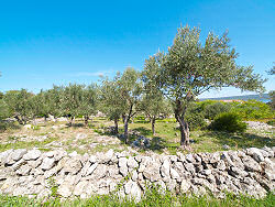 Blick von der Strae von Mali Losinj nach Nerezine - links der Osorscica