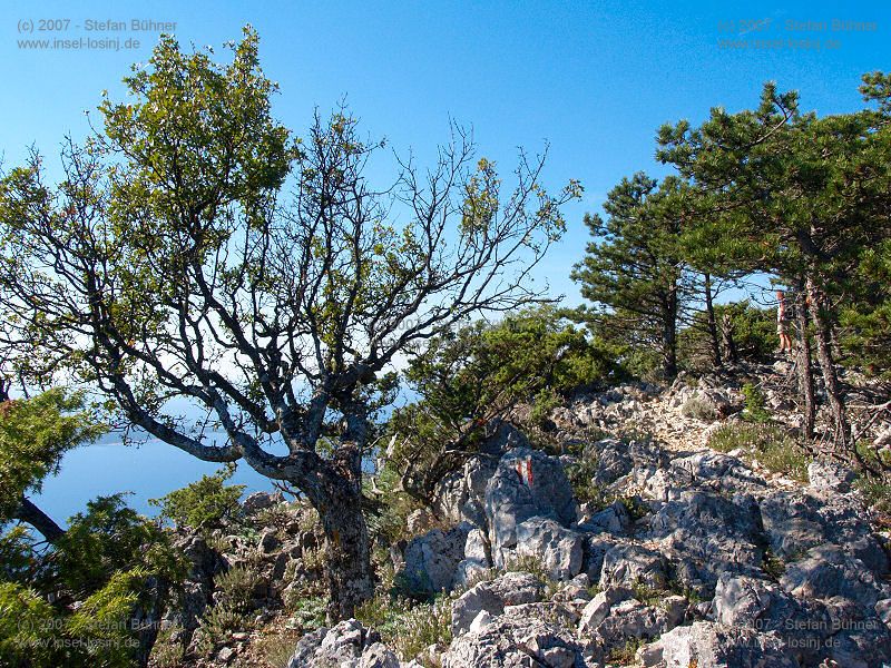 der Gebirgszug des Osorscica bei Nerezine / Osor auf der Insel Losinj