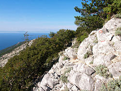 Blick von der Strae von Mali Losinj nach Nerezine - links der Osorscica