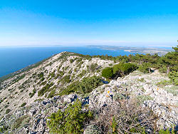 Blick von der Strae von Mali Losinj nach Nerezine - links der Osorscica