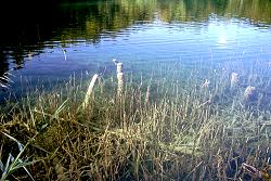 im Nationalpark Plitvice in Kroatien