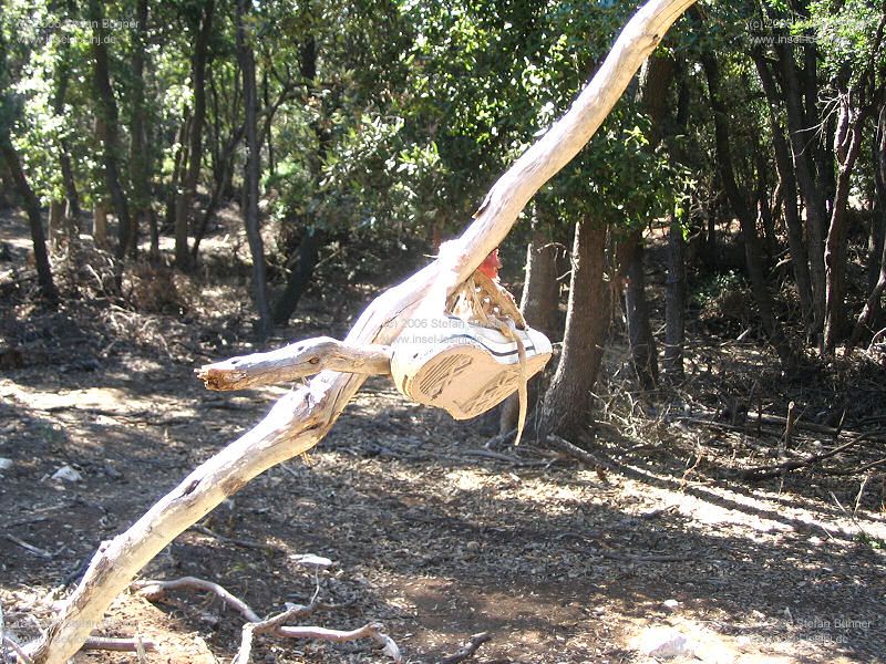 das kennen wir doch aus Monty Python�s Life of Brian - Herr, gib mir ein Zeichen!<br>das Zeichen war in unserem Fall keine Sandale sondern ein Turnschuh :-)