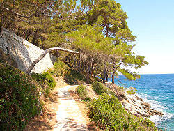 Wanderweg zwischen Veli Losinj und Mali Losinj zum Strand / Bucht Valdarke in Mali Losinj - Kroatien